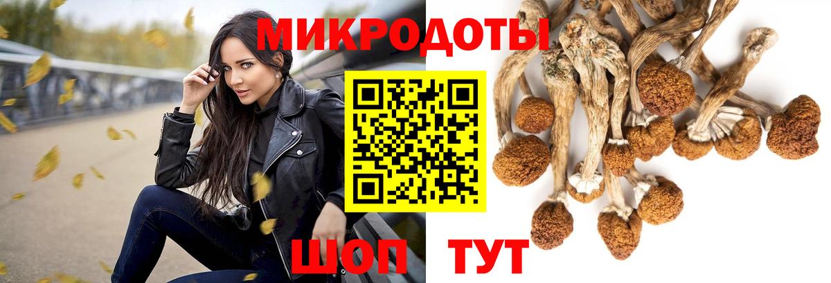 Каменск-Уральский  Псилоцибиновые грибы MAGIC MUSHROOMS  дарнет шоп  Псилоцибиновые грибы мицелий  Вход с VPN 